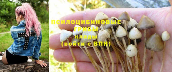 эйфоретик Коряжма