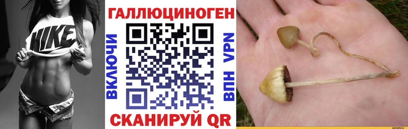 Псилоцибиновые грибы GOLDEN TEACHER Певек