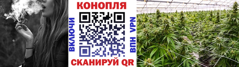 Купить где  Певек  Бошки марихуана Amnesia 